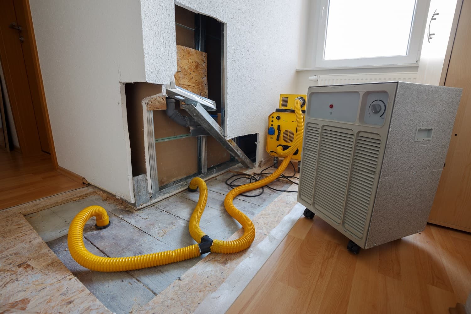 Asbestos Removal: Expert Tips and Best Practices | Asbestosee